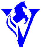 vft logo blue with eyes
